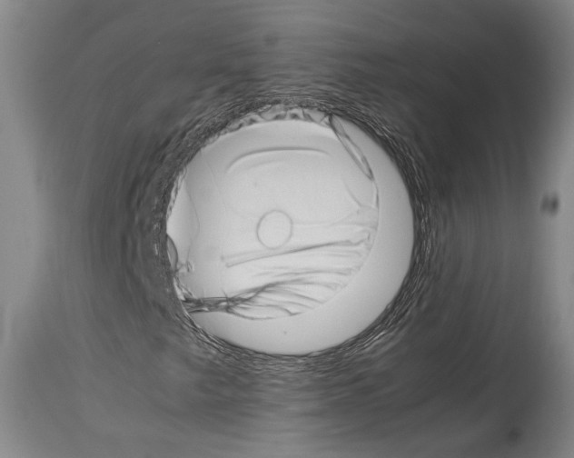 X0000113991249200911131110