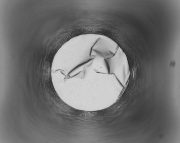 X0000113991251200911131110