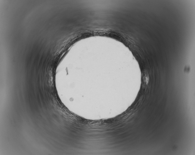 X0000113991252200911131110