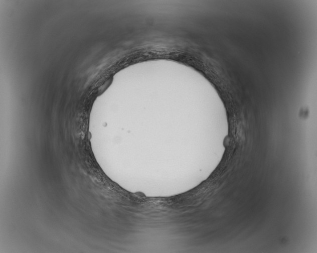 X0000113991253200911131110