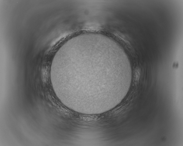 X0000113991254200911131110