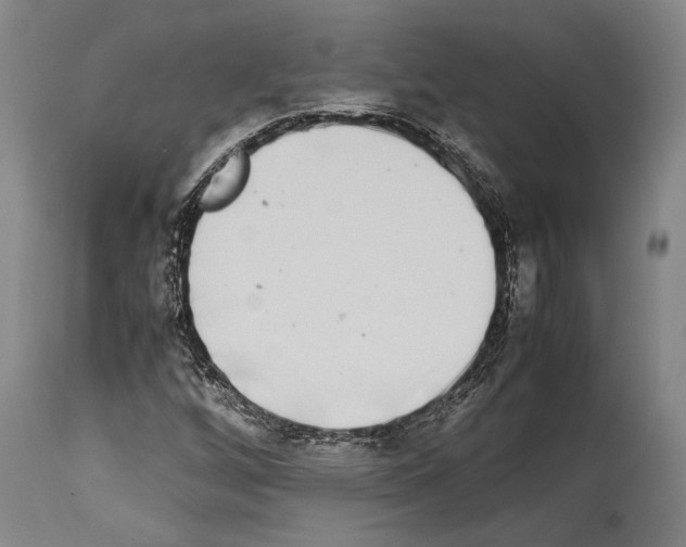 X0000113991256200911131110