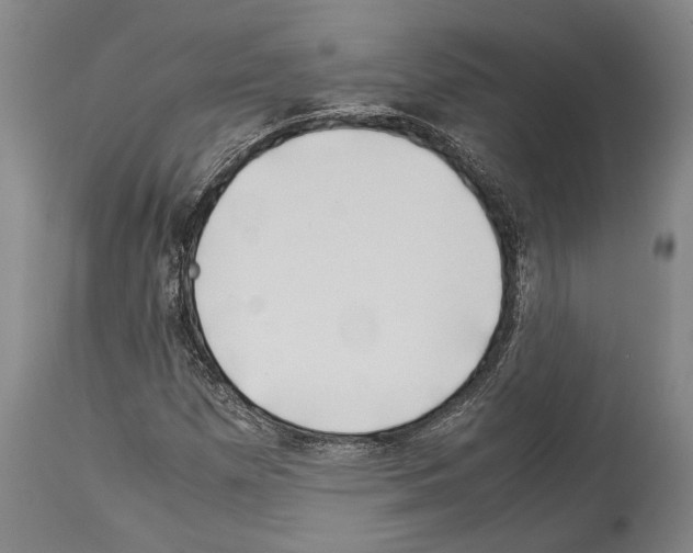 X0000113991257200911131110