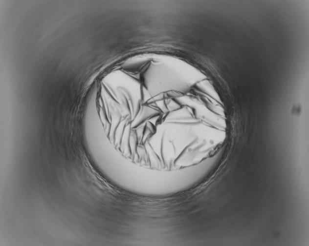 X0000113991260200911131110