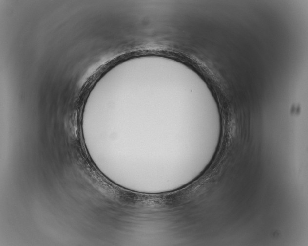 X0000113991262200911131110