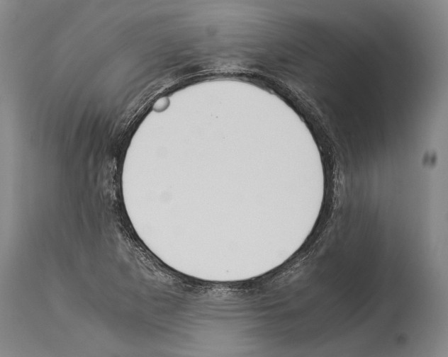 X0000113991265200911131110