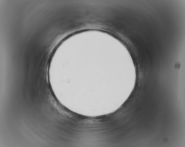 X0000113991272200911131110