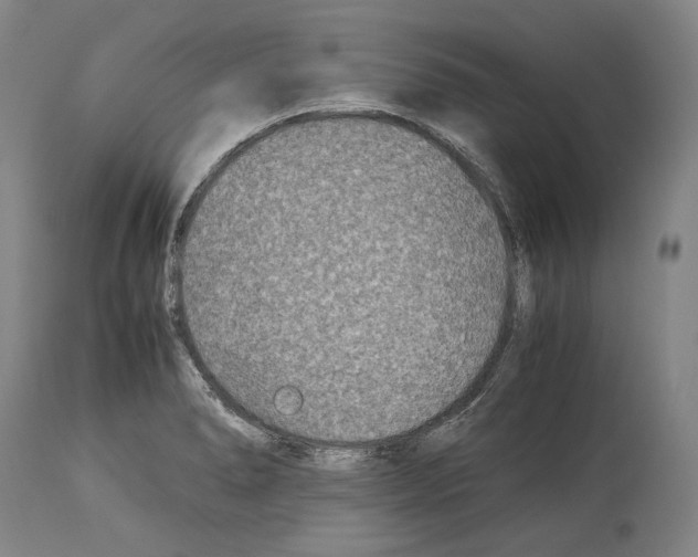 X0000113991278200911131110