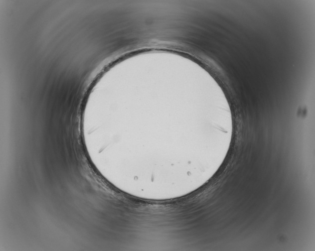 X0000113991280200911131110