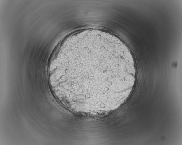 X0000113991283200911131110