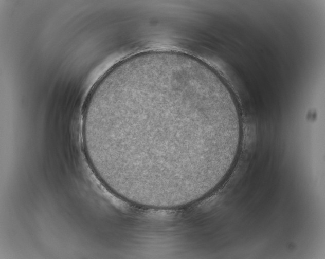 X0000113991286200911131109