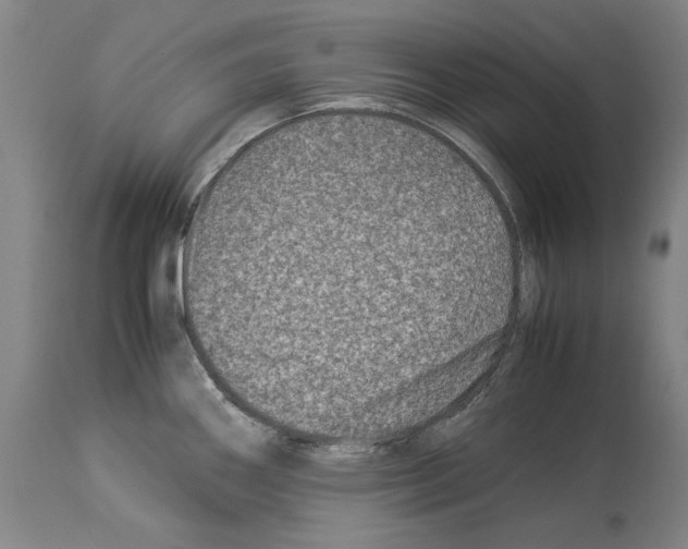 X0000113991290200911131109