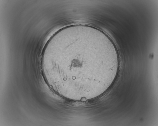 X0000113991291200911131109