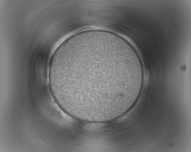 X0000113991294200911131109