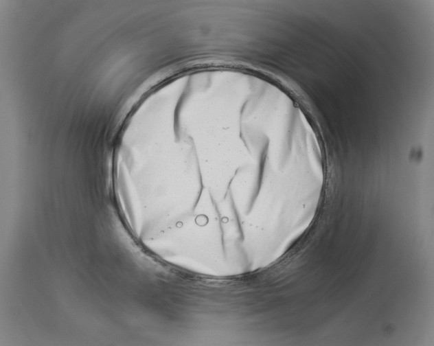 X0000113991295200911131109