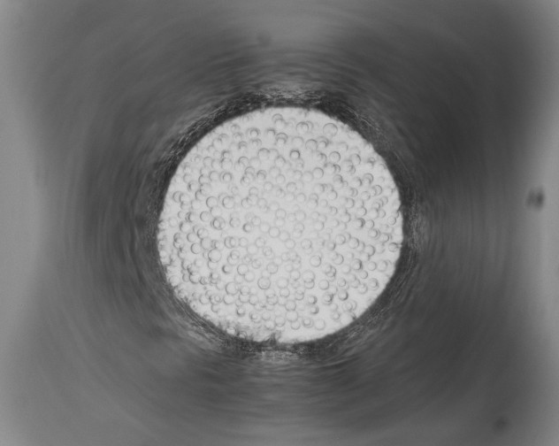 X0000113991297200911131109