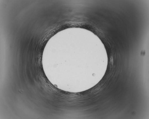 X0000113991300200911131109