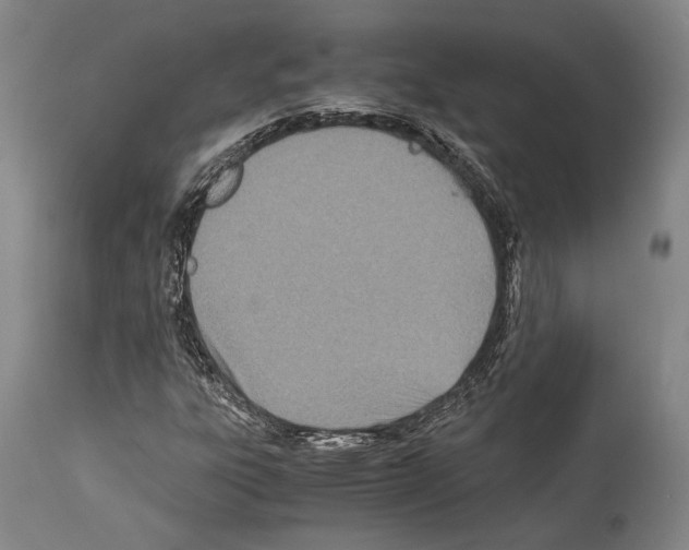 X0000113991303200911131109