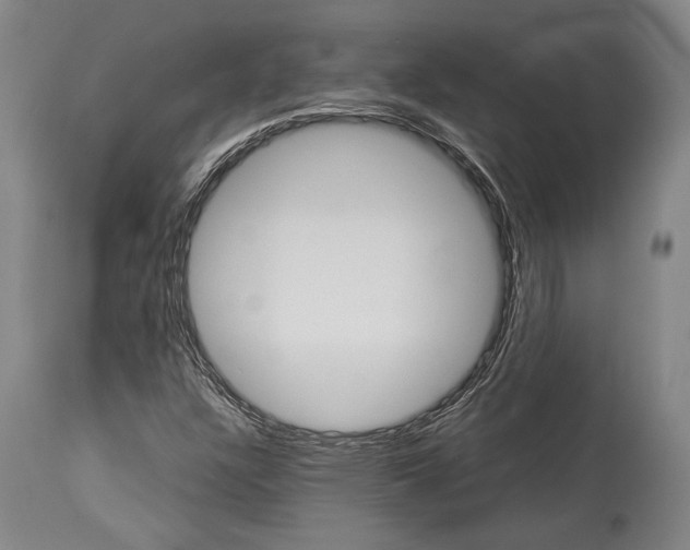 X0000113991304200911131109