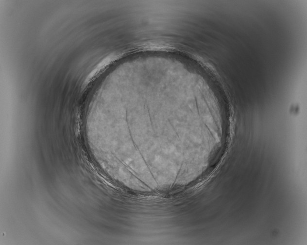 X0000113991306200911131109