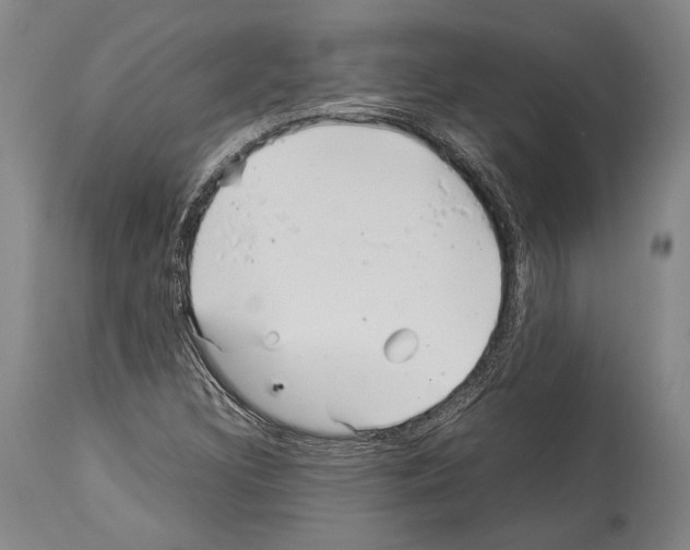 X0000113991308200911131109