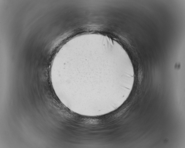 X0000113991309200911131109