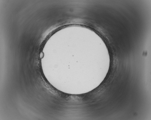 X0000113991312200911131109