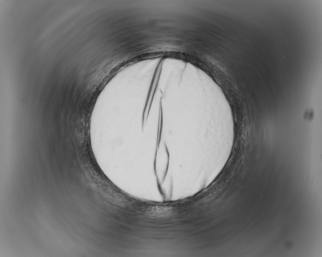 X0000113991313200911131109