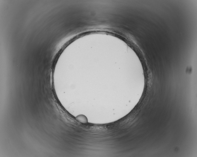 X0000113991320200911131109