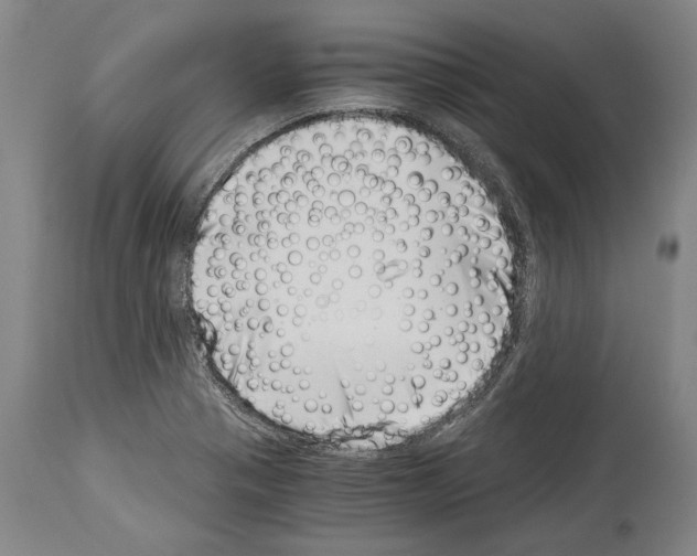 X0000113991321200911131109