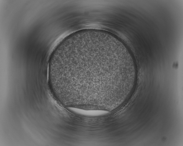 X0000113991323200911131109