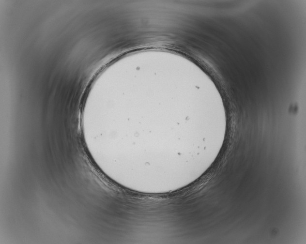 X0000113991324200911131109