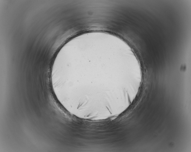 X0000113991325200911131109