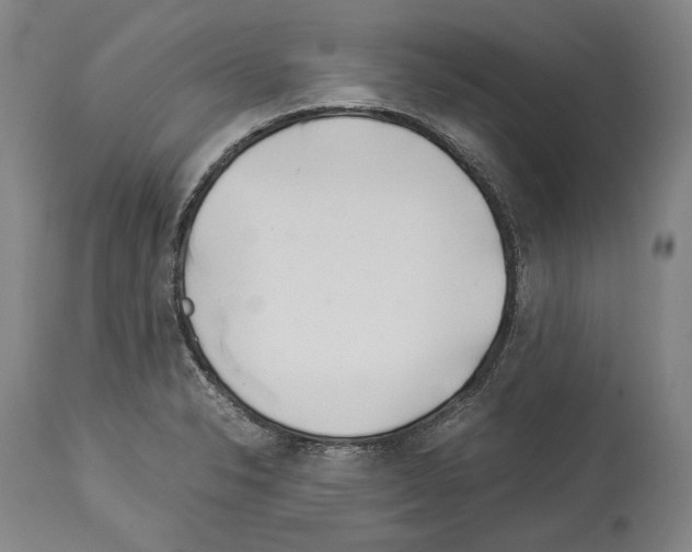 X0000113991326200911131109