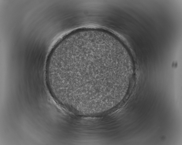 X0000113991327200911131109