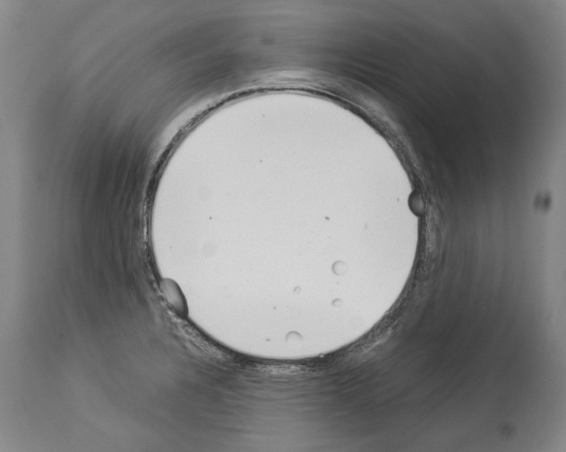 X0000113991328200911131109