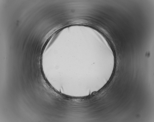 X0000113991330200911131109