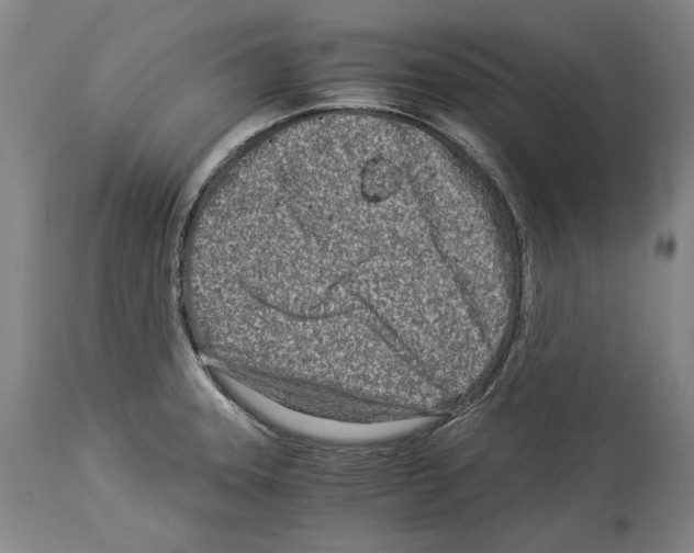 X0000113991331200911131109