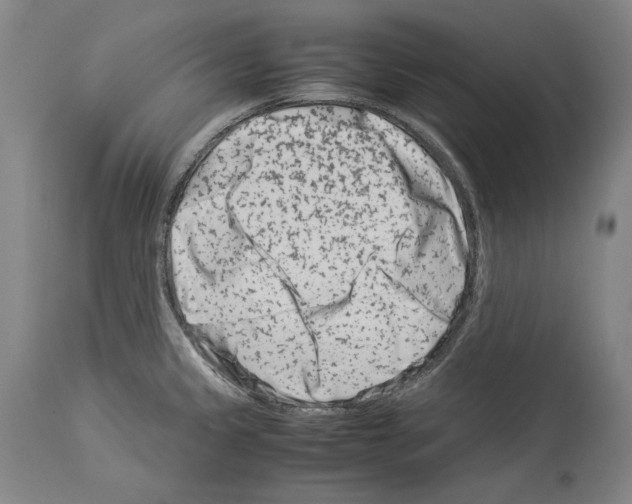 X0000113991333200911131109