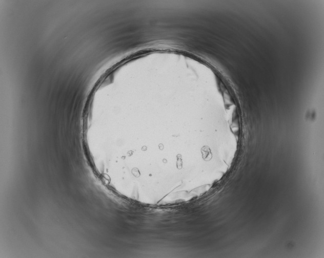 X0000113991335200911131109