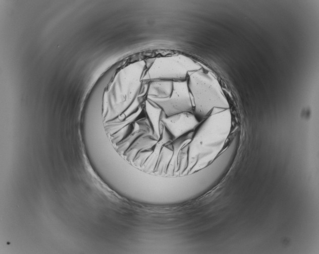 X0000113991342200911131109