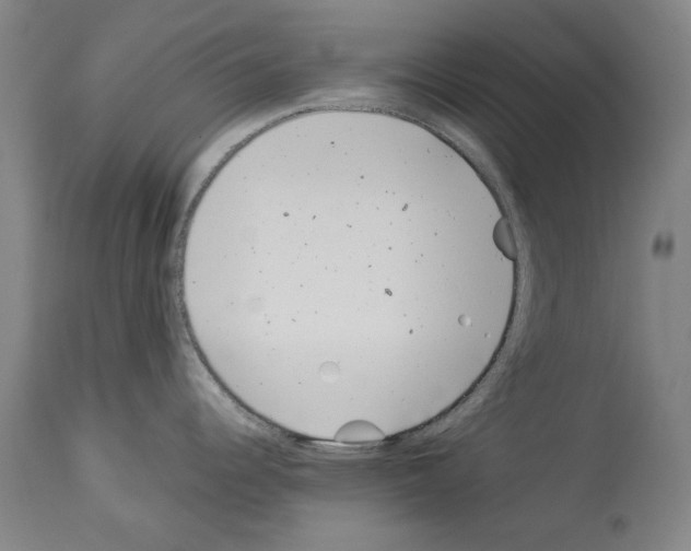 X0000113991344200911131109