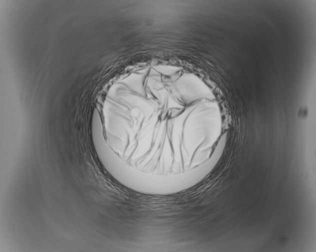 X0000113991345200911131109