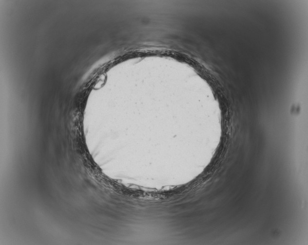 X0000113991351200911131109