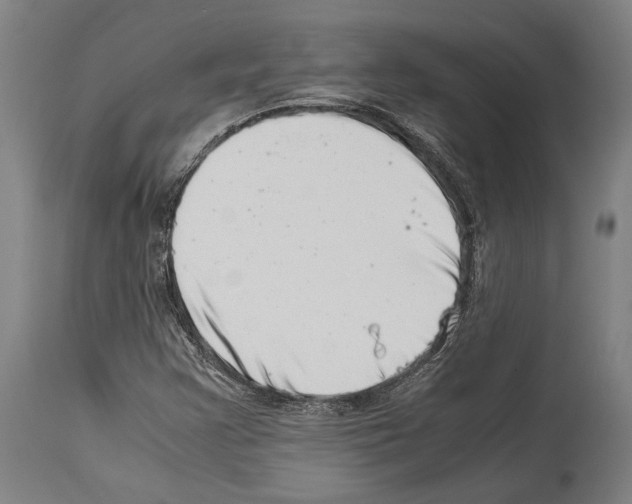 X0000113991355200911131109