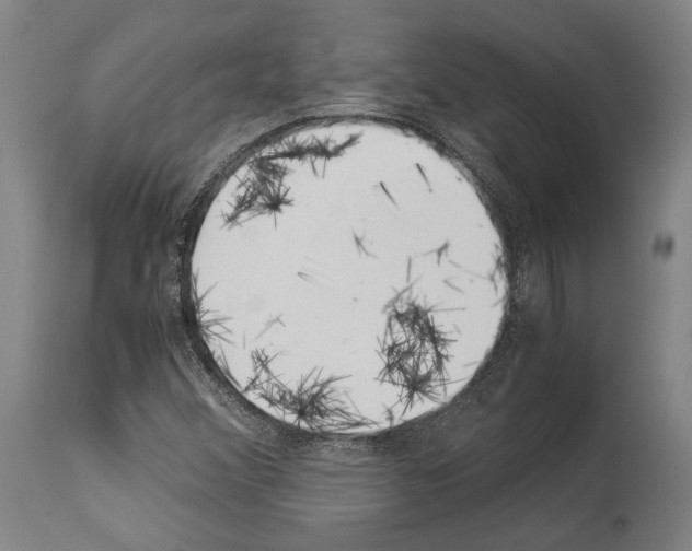 X0000113991356200911131109