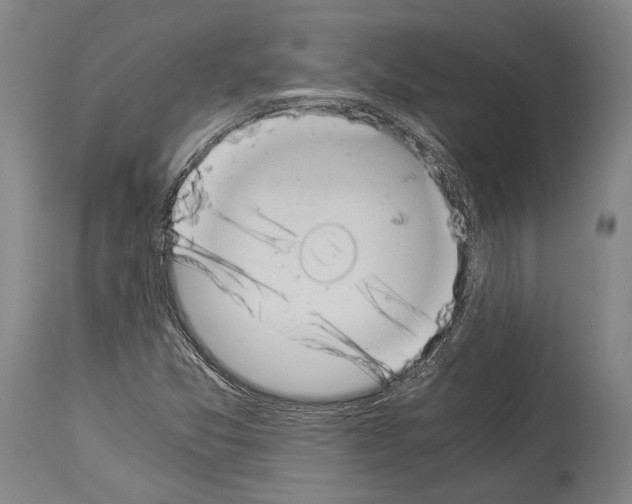 X0000113991357200911131109