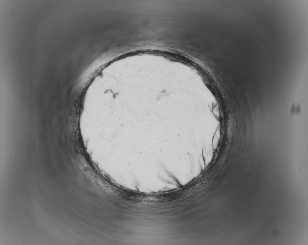 X0000113991359200911131108