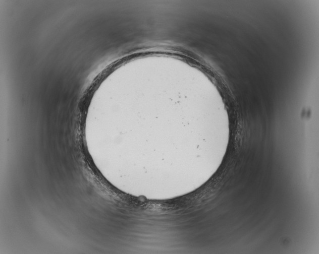 X0000113991360200911131108