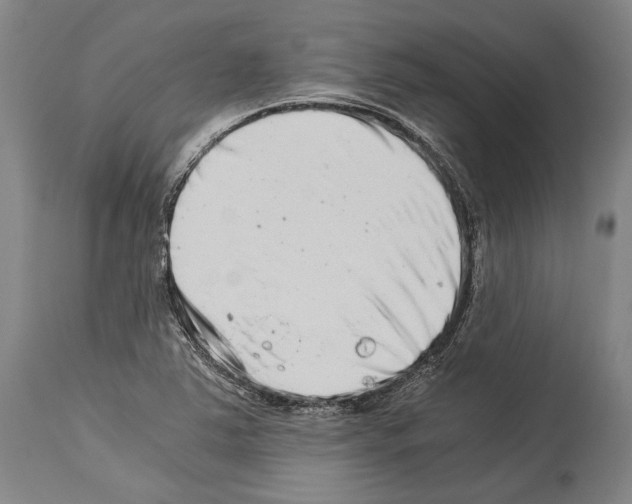 X0000113991363200911131108